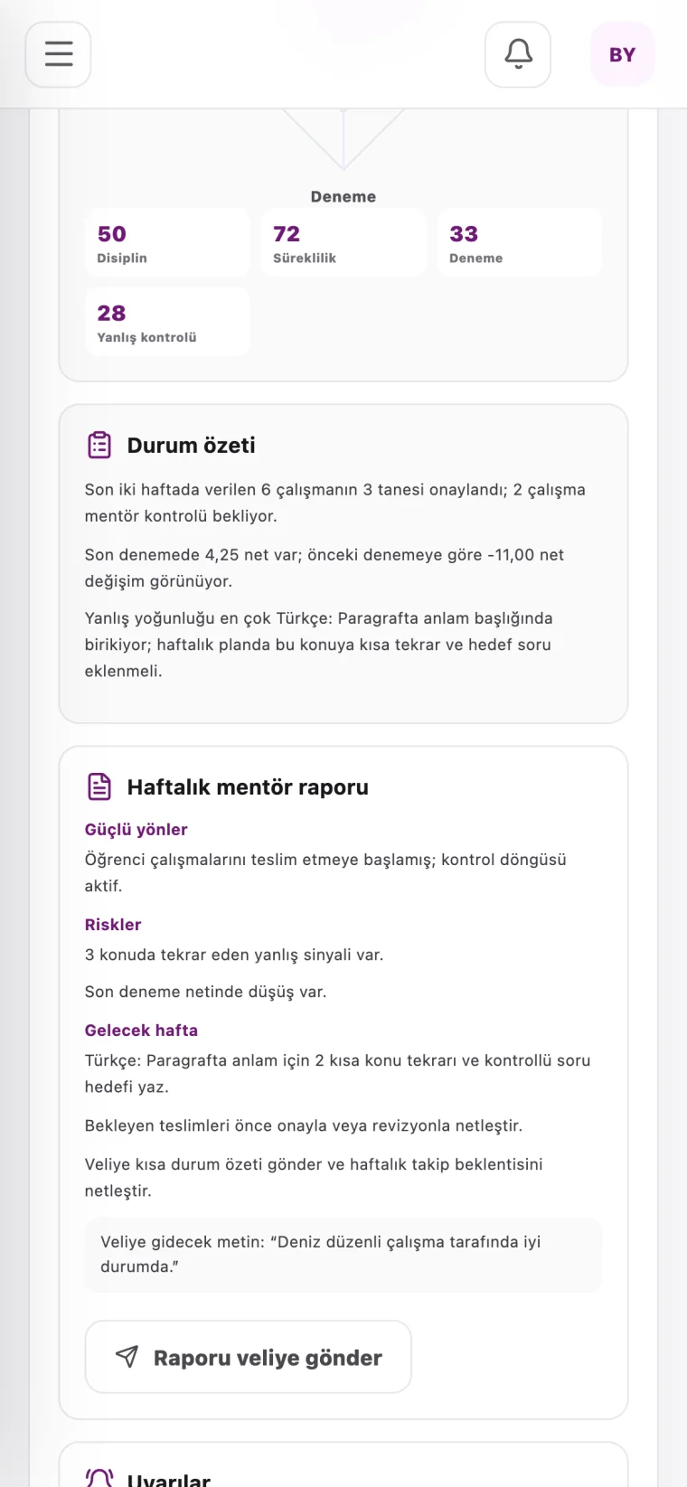 Mobil — mentör raporu